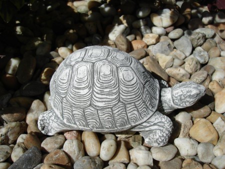 v7 š17 h 0,9kg   ‎€3,8